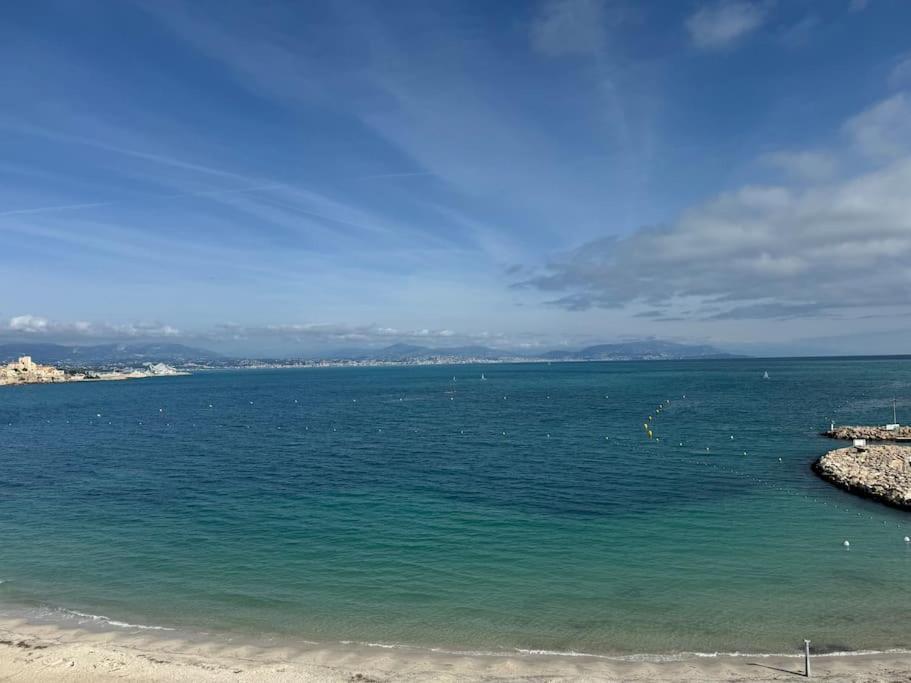 La Petite Grenille Apartment Antibes